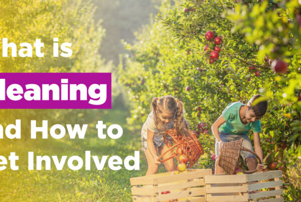 Rather than just throwing that food away, there is a practice called gleaning that helps to reduce food waste and battle food insecurity.